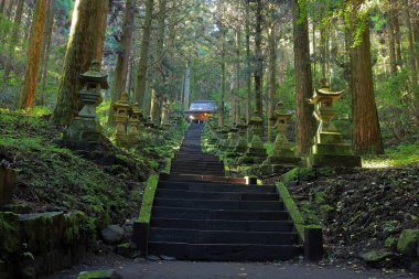 Kamishikimi Kumanoimasu Tapınağı, Aso Bölgesi, Kumamoto, Japonya 'da taş fener yolu olan bir Shinto tapınağı.
