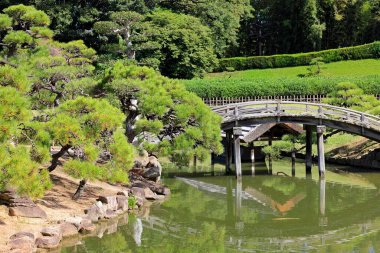 Okayama Korakuen, Kita Ward, Okayama, Japonya 'da restore edilmiş bir 18. yüzyıl bahçesi.