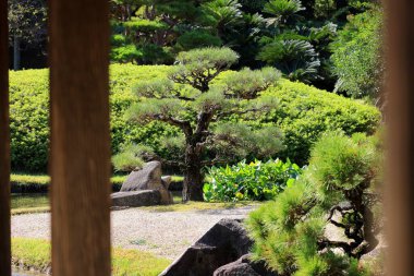 Okayama Korakuen, Kita Ward, Okayama, Japonya 'da restore edilmiş bir 18. yüzyıl bahçesi.