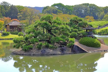 Okayama Korakuen, Kita Ward, Okayama, Japonya 'da restore edilmiş bir 18. yüzyıl bahçesi.
