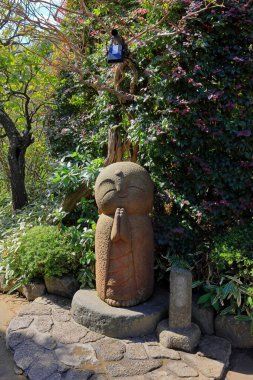 Hasedera, bir Budist tapınağı ve Kamakura, Kanagawa, Japonya 'da Kannon tanrısının devasa ahşap heykeli ile bahçeler.