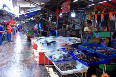 Bangkok, Tayland - 27 Eylül 2024 Khlong Toei Pazarı, meyve, sebze, et ve deniz ürünlerinden tutun da Khlong Toei, Bangkok, Tayland 'da geniş bir taze gıda pazarı.