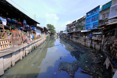 Bangkok, Tayland - 27 Eylül 2024 Khlong Toei Pazarı, meyve, sebze, et ve deniz ürünlerinden tutun da Khlong Toei, Bangkok, Tayland 'da geniş bir taze gıda pazarı.