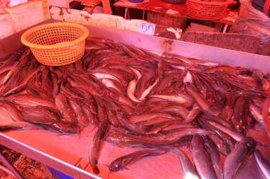 Bangkok, Tayland - 27 Eylül 2024 Khlong Toei Pazarı, meyve, sebze, et ve deniz ürünlerinden tutun da Khlong Toei, Bangkok, Tayland 'da geniş bir taze gıda pazarı.
