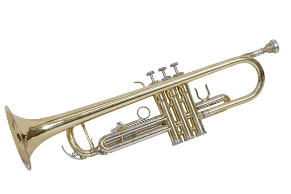 Wind musical instrument cornet — Stock Photo, Image