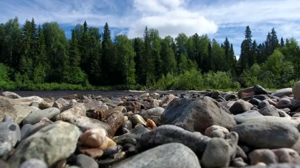 西伯利亚针叶林是一条以茂密针叶林为背景的带岩石海岸的野生河流 — 图库视频影像
