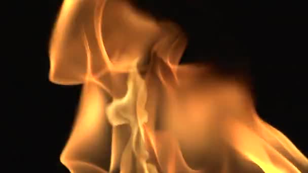 Ρεαλιστική πυρκαγιά μαύρο Bacground — Αρχείο Βίντεο