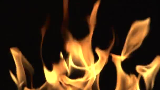 Detaillierte Feuer Hintergrund voller hd — Stockvideo