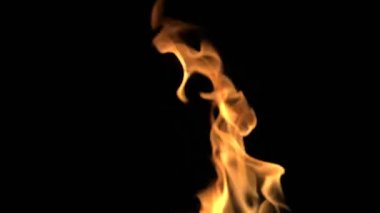 Gerçekçi ateş siyah uygunluğunu