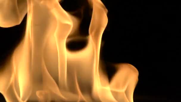 Detailed Fire Background Full Hd — Stock Video