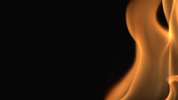 Detailed Fire Background Full Hd — Stock Video