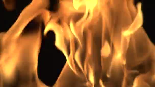 Brûlage du feu en temps réel 