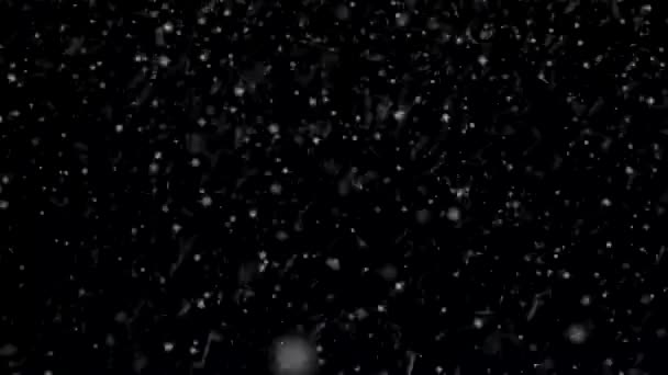 Mooie sneeuwval geïsoleerd op zwarte achtergrond. — Stockvideo