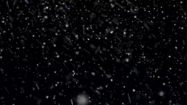 Sneeuw Blizzard geanimeerde lus van sneeuw deeltjes — Stockvideo