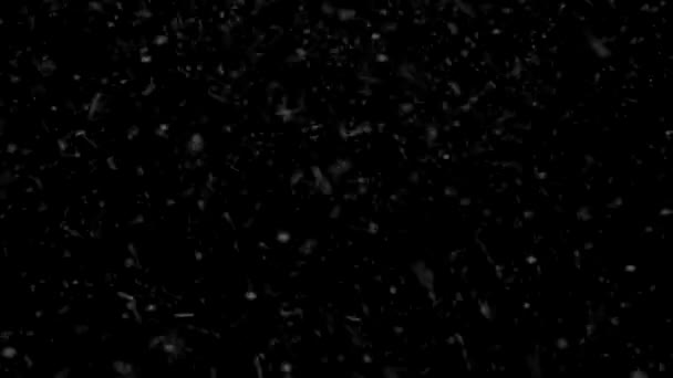 Beautiful Snowfall Isolated on Black Background — Stock Video