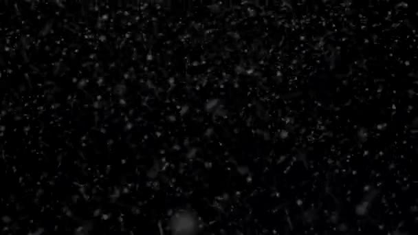 검은 배경에 고립 된 아름 다운 눈 — 비디오