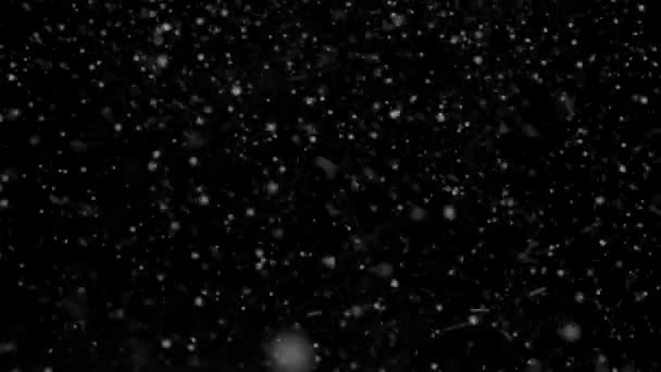 Flocos de neve em queda fosco Loopable — Vídeo de Stock