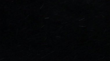 Siyah arka plan üzerine izole güzel kar yağışı.