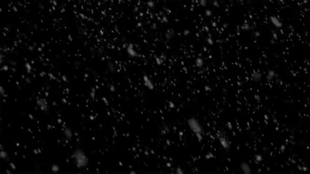 Mooie sneeuwval geïsoleerd op zwarte achtergrond — Stockvideo