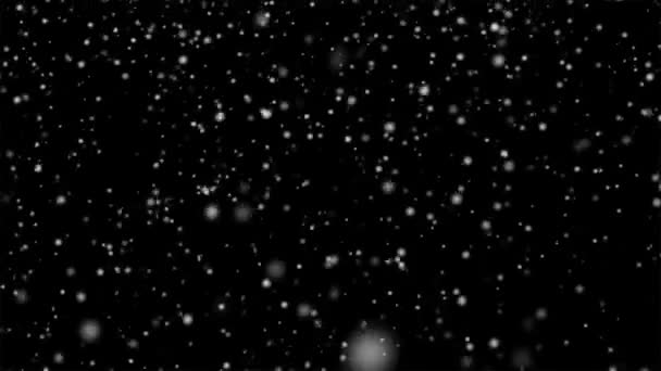 Fiocchi di neve sparare attraverso lo schermo — Video Stock