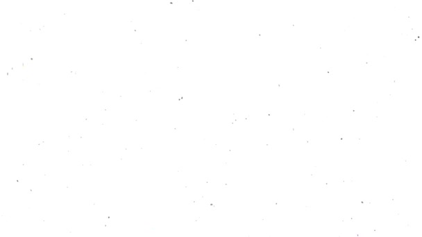 Effet vieux film. Vieux Film Vidéo HD 