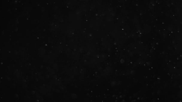 poussière nuage isolé fond noir bulle bokeh 