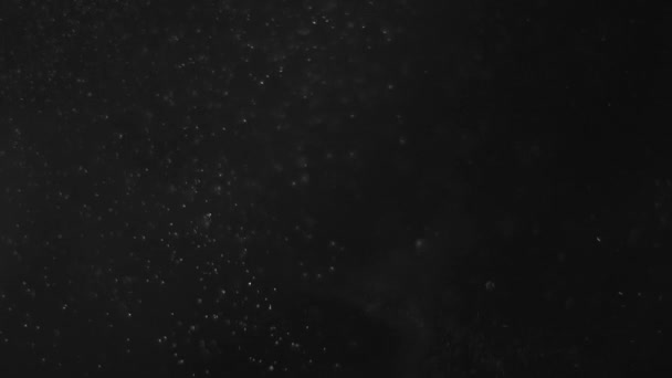 poussière nuage isolé fond noir bulle bokeh 