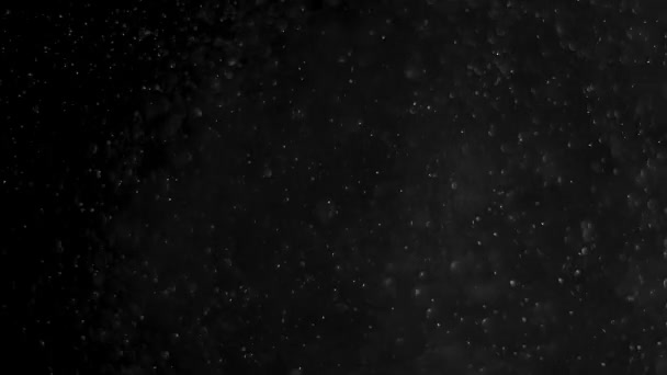 Nube de polvo aislado negro fondo burbuja bokeh — Vídeo de stock