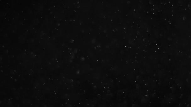 poussière nuage isolé fond noir bulle bokeh 