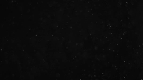 poussière nuage isolé fond noir bulle bokeh 