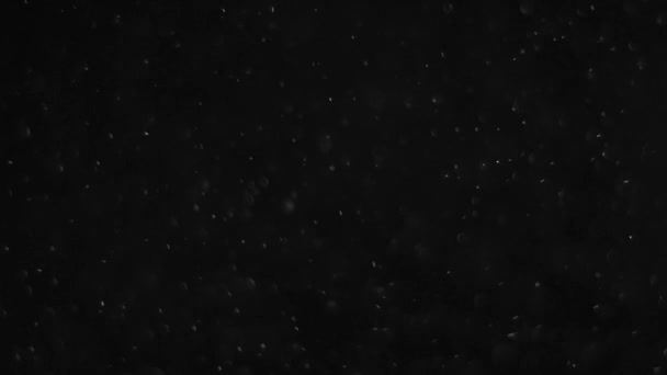 poussière nuage isolé fond noir bulle bokeh 