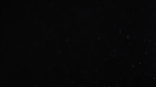 Staubwolke isoliert schwarzen Hintergrund Blase Bokeh — Stockvideo