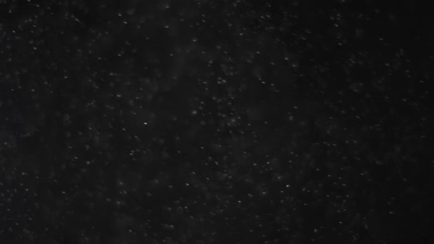 Poussière nuage isolé fond noir bulle bokeh — Video