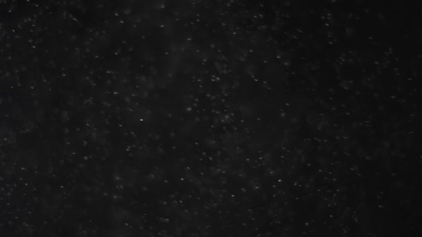 Dust Cloud Isolated Black Background Bubble Bokeh — Stock Video