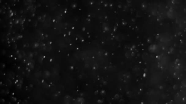 Nube de polvo aislado negro fondo burbuja bokeh — Vídeo de stock