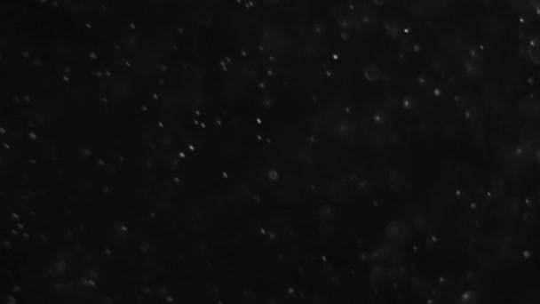 Пылевое облако изолированный черный пузырь bokeh — стоковое видео