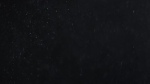 poussière nuage isolé fond noir bulle bokeh 