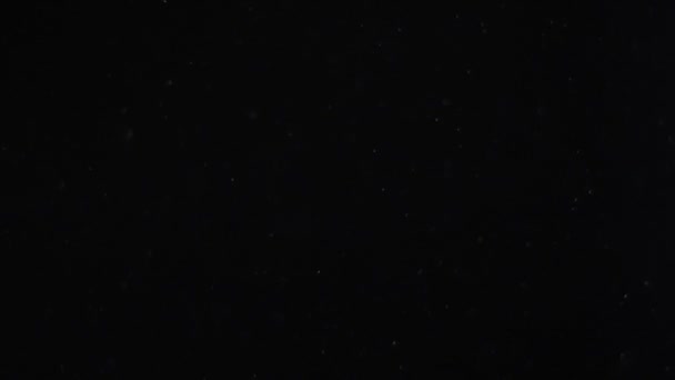 धूल बादल अलग काले पृष्ठभूमि बुलबुला बोकेह — स्टॉक वीडियो