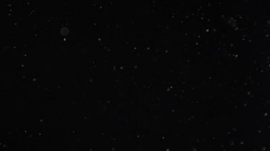 İzole bulut siyah arka plan kabarcık Bokeh toz