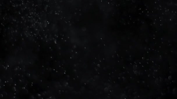 Poussière nuage isolé fond noir bulle bokeh — Video