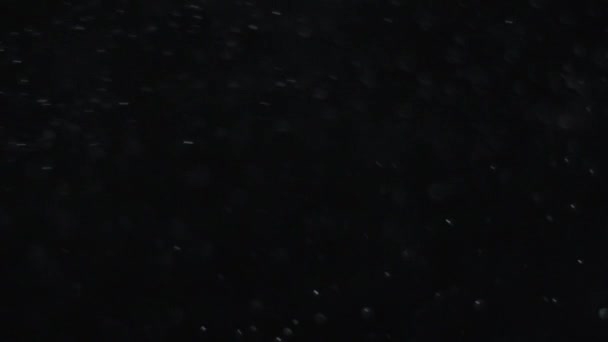 poussière nuage isolé fond noir bulle bokeh 