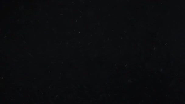 poussière nuage isolé fond noir bulle bokeh 