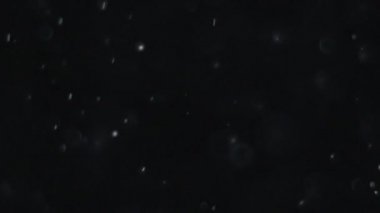 İzole bulut siyah arka plan kabarcık Bokeh toz