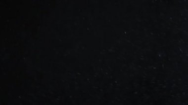 İzole bulut siyah arka plan kabarcık Bokeh toz