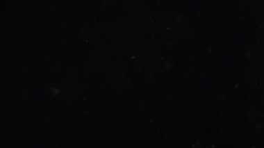 İzole bulut siyah arka plan kabarcık Bokeh toz