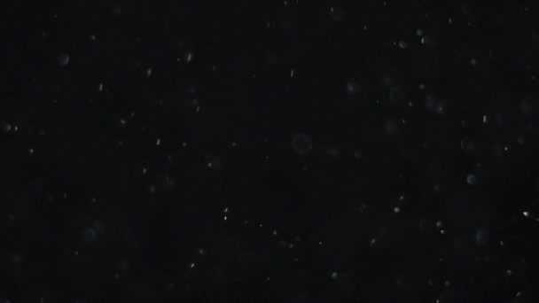 poussière nuage isolé fond noir bulle bokeh 