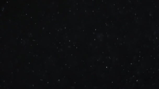 poussière nuage isolé fond noir bulle bokeh 