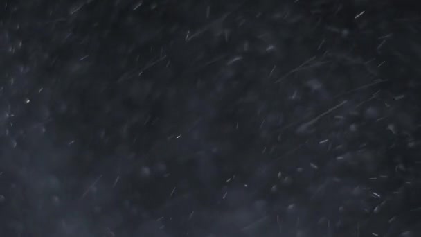 ほこりを分離した雲黒背景バブル ボケ — ストック動画