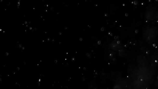 poussière nuage isolé fond noir bulle bokeh 