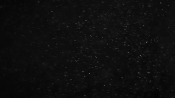 粉尘云孤立的黑色背景泡沫散景 — 图库视频影像